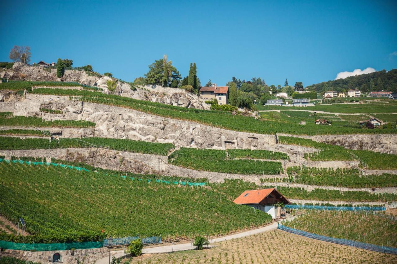 Auberge De Rivaz Екстериор снимка
